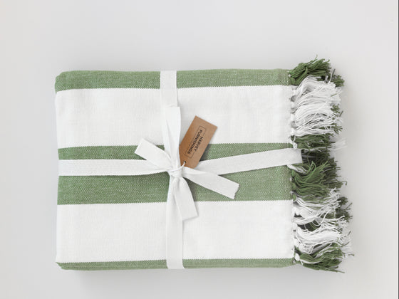 Coronado Stripe Throw - Mint Green/White