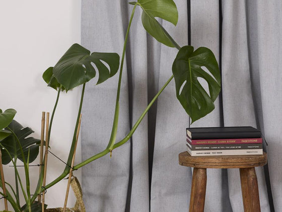 Waihi Concrete Blockout Pencil Pleat Curtains - Harvey Furnishings