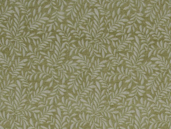 Brackenhill Moss