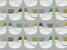  Cluck Cluck Kiwi